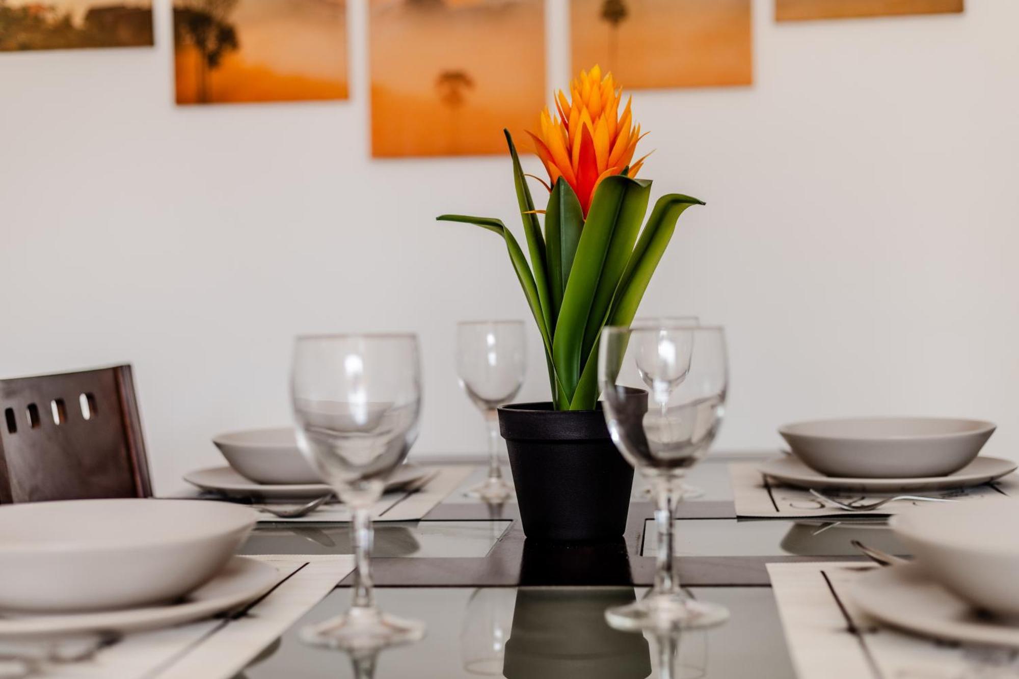 Apartment Mambo *