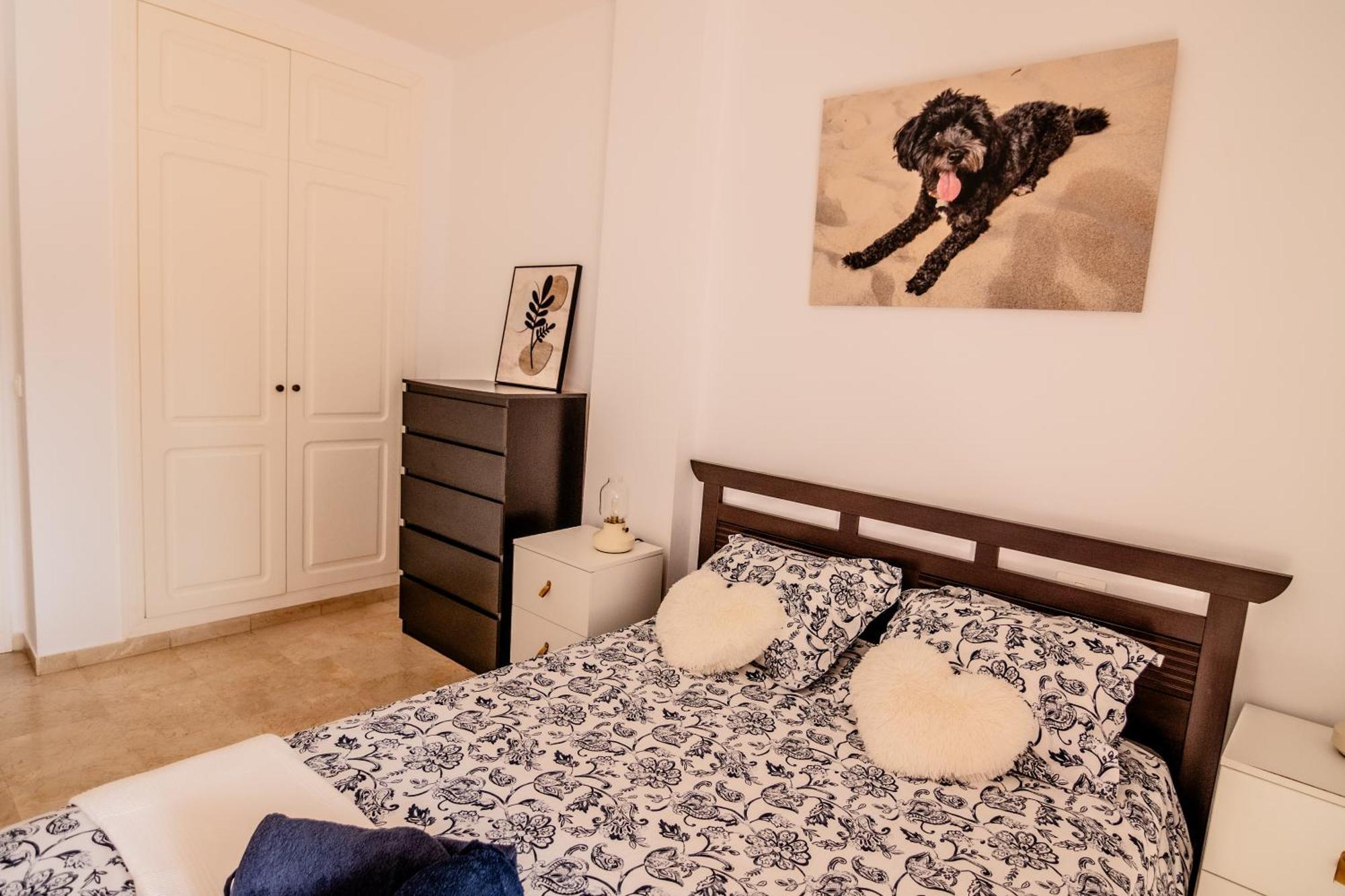Apartment Mambo *